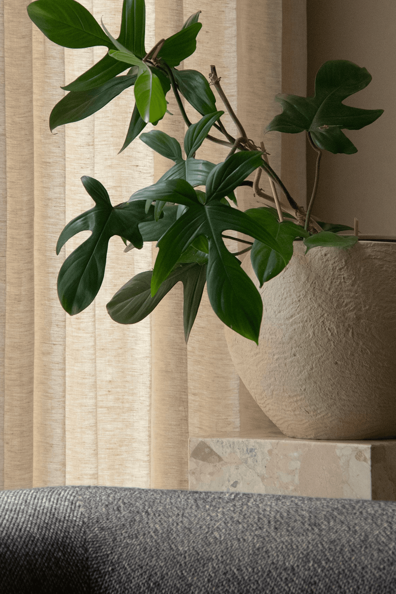 Large Ivory Plantas Planter by Menu, shown on a plinth with a plant