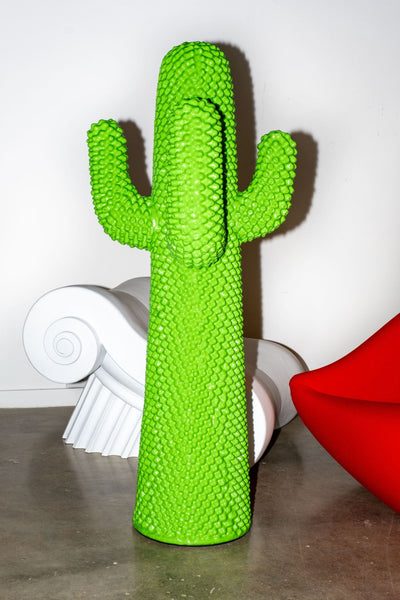 Another-Green-Cactus-3_grande.