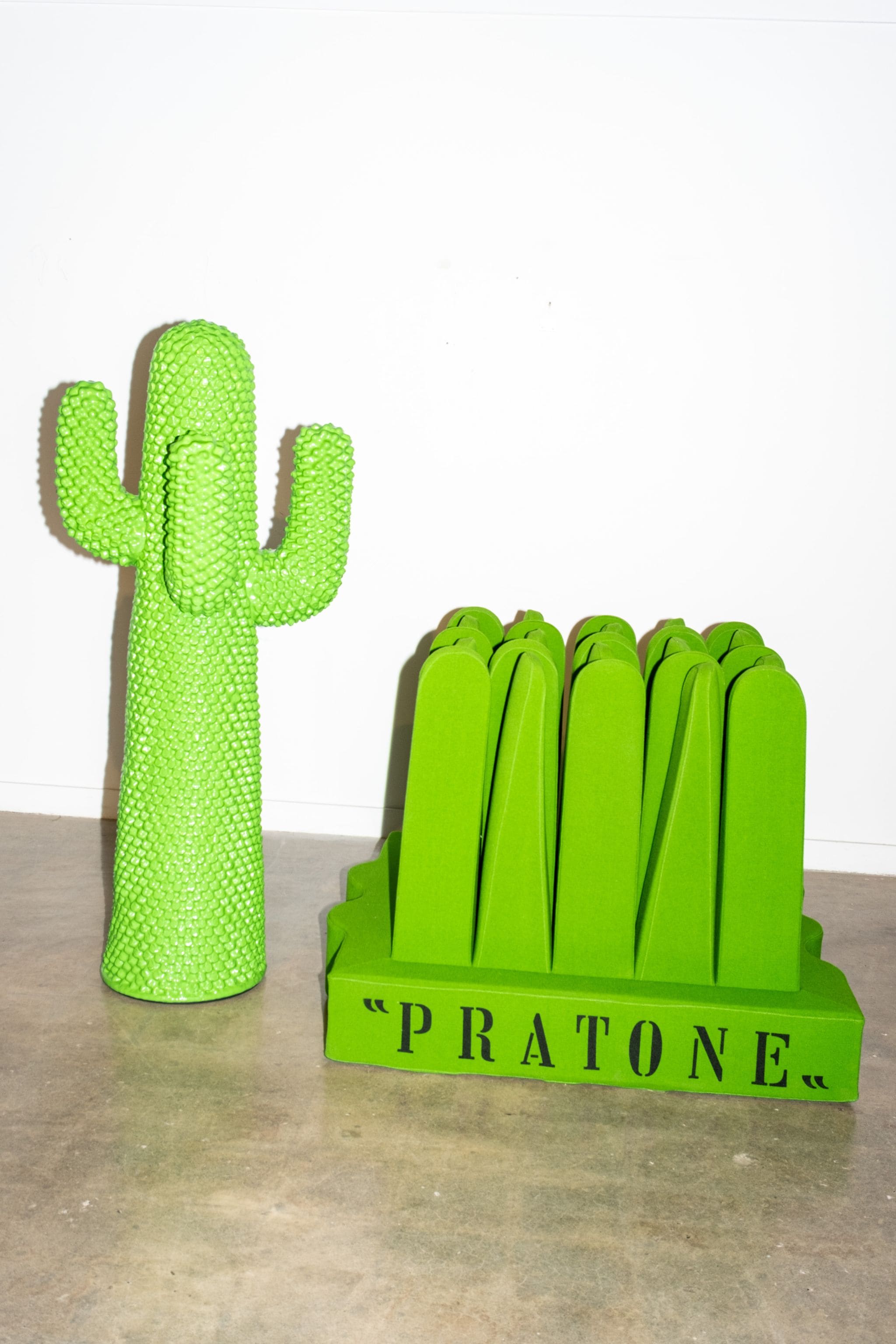 Another-Green-Cactus-4_2048x.