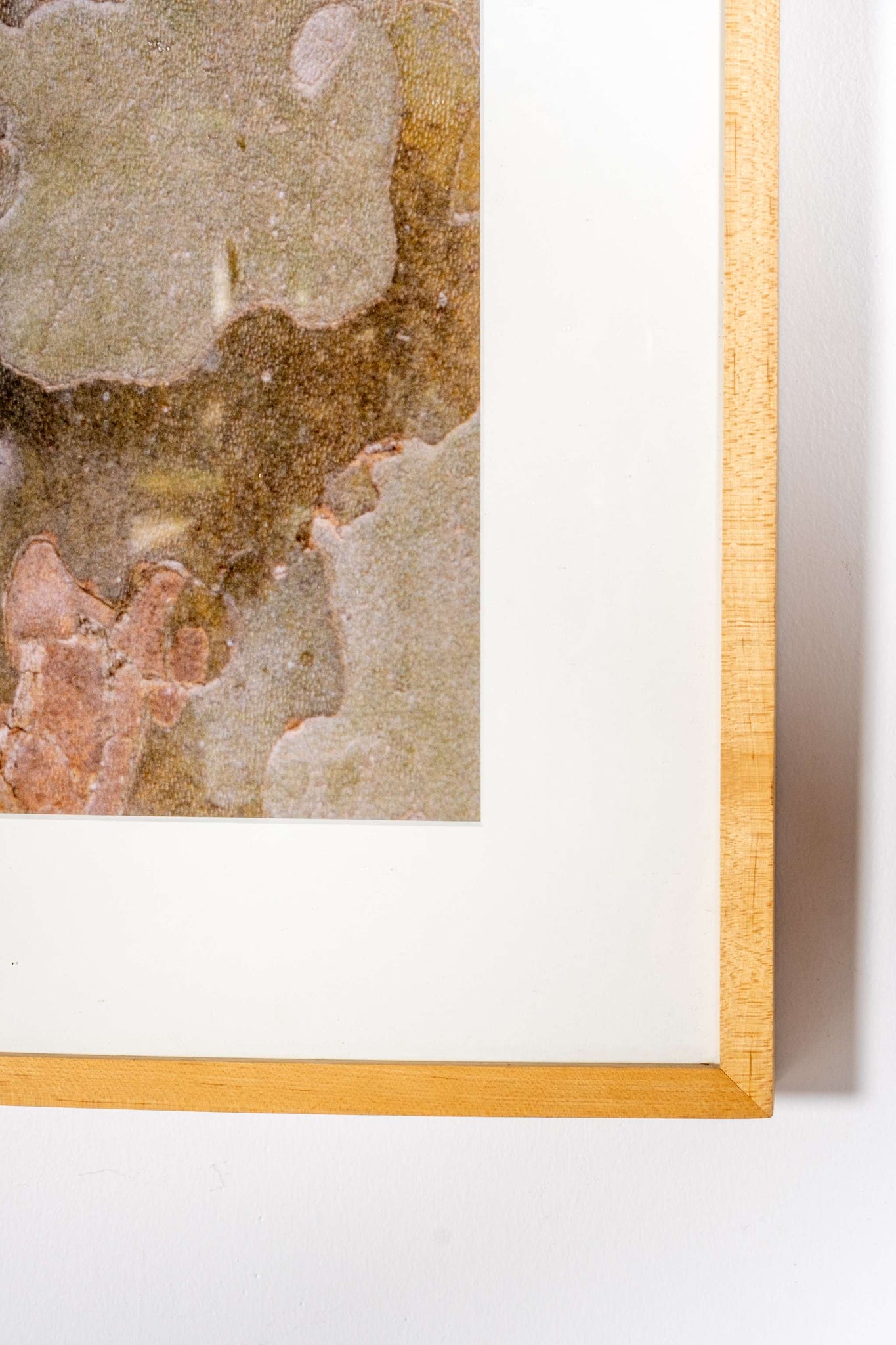 "Bark of Plane Tree I, Provence, France" (1994)