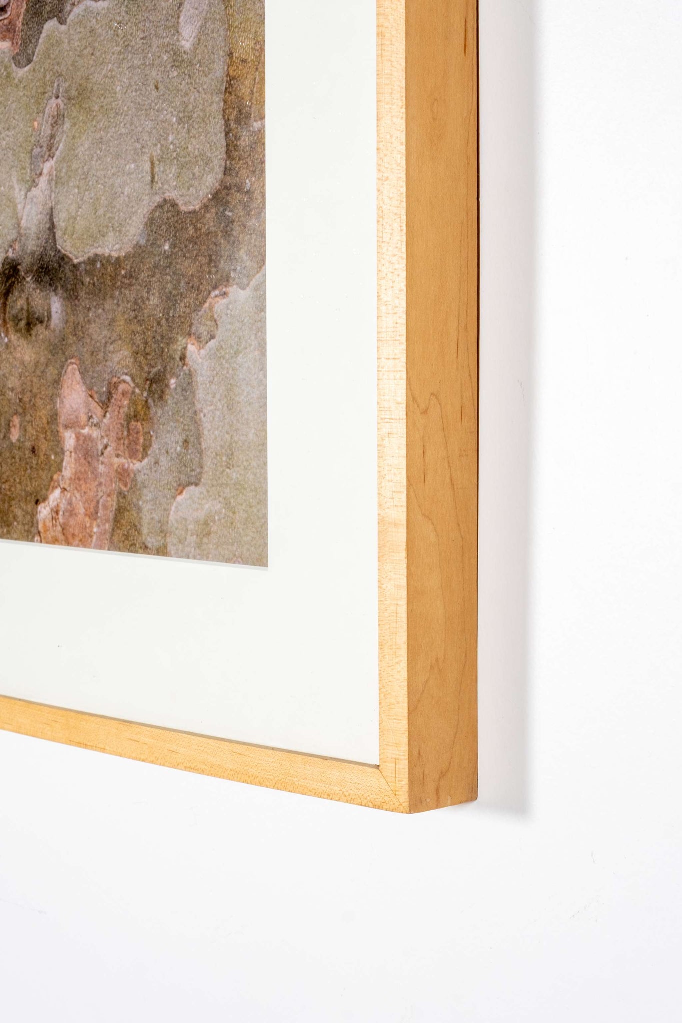 "Bark of Plane Tree I, Provence, France" (1994)