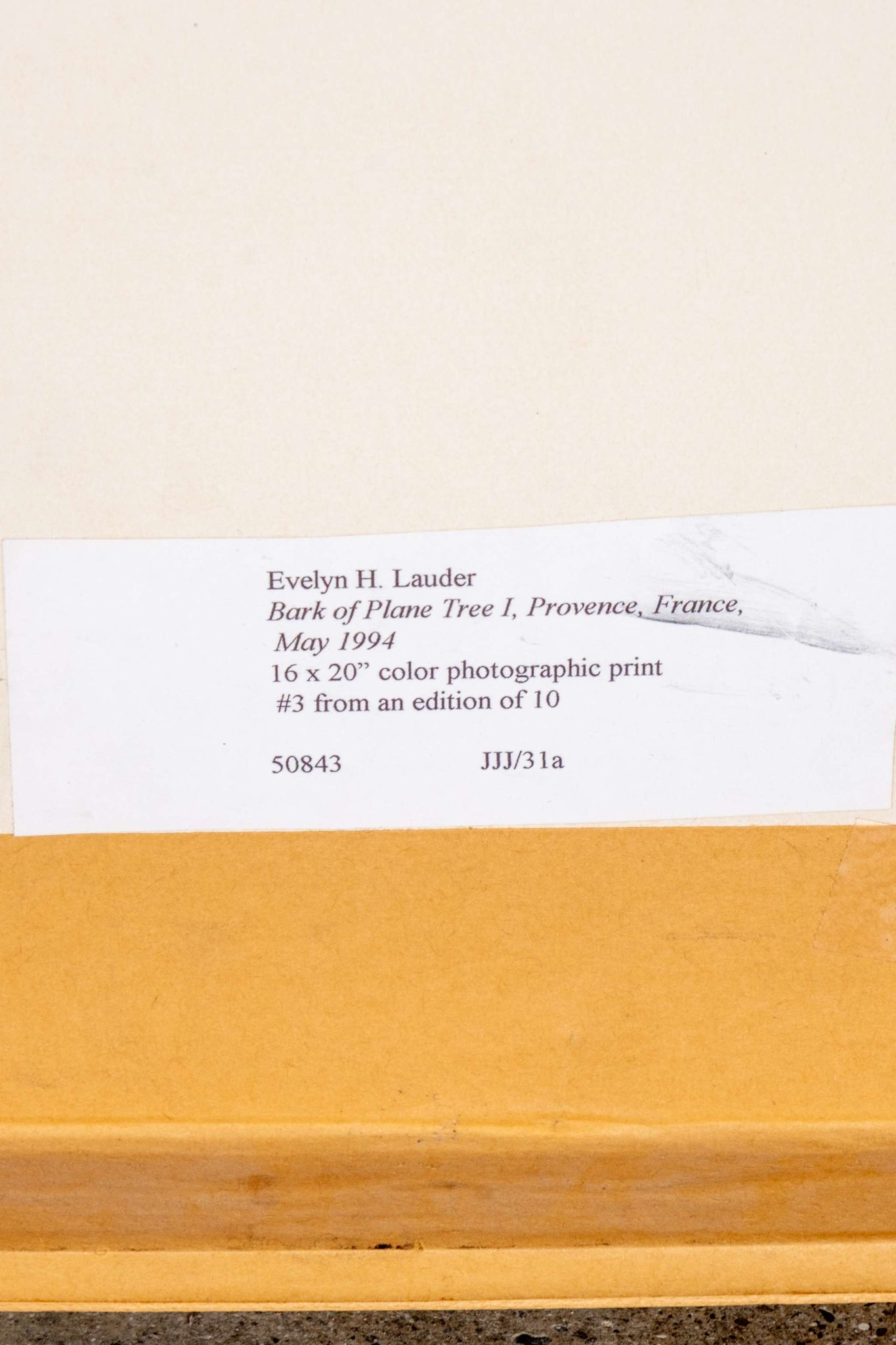 "Bark of Plane Tree I, Provence, France" (1994)