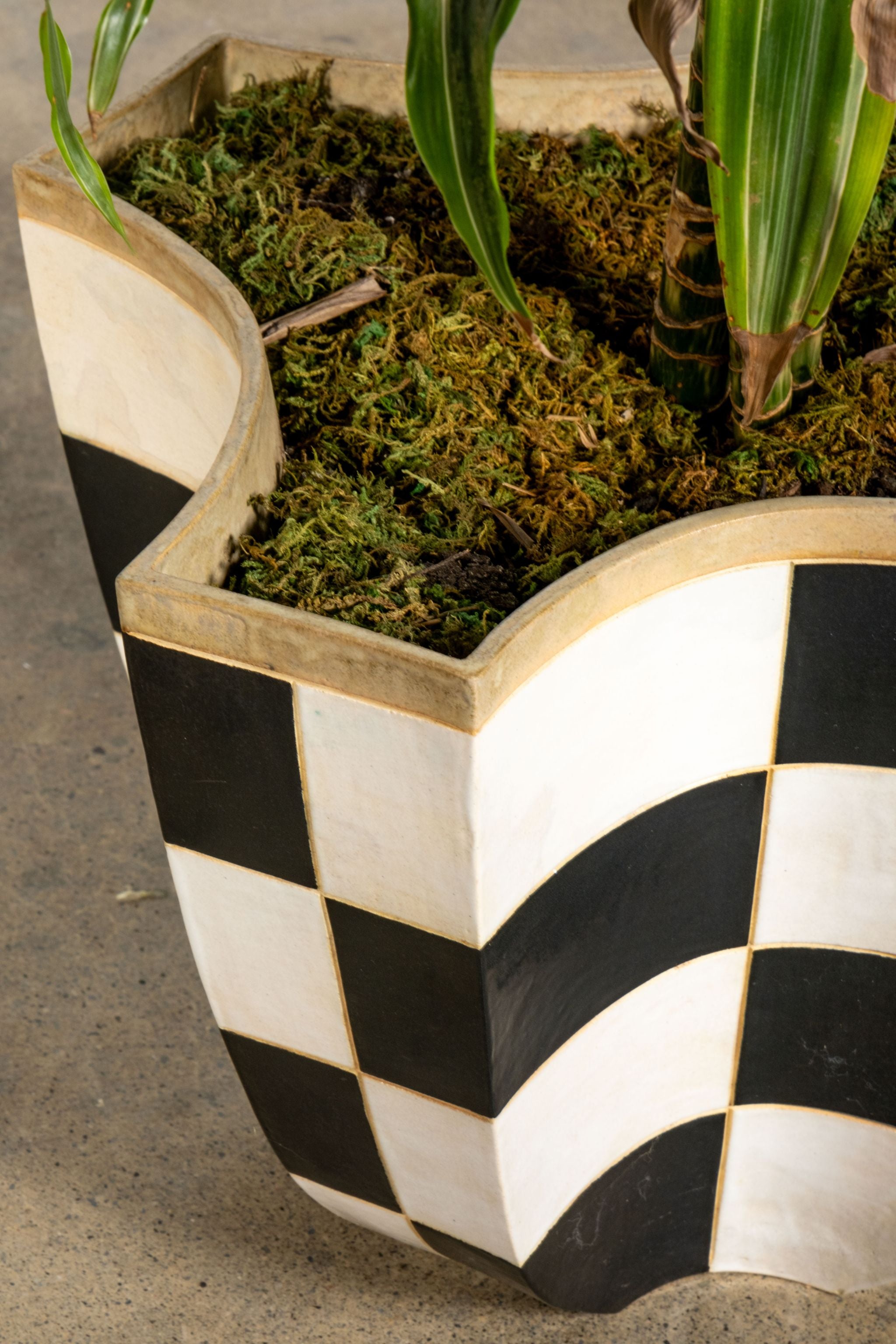 checkers plant pots Black + White Checker Planter