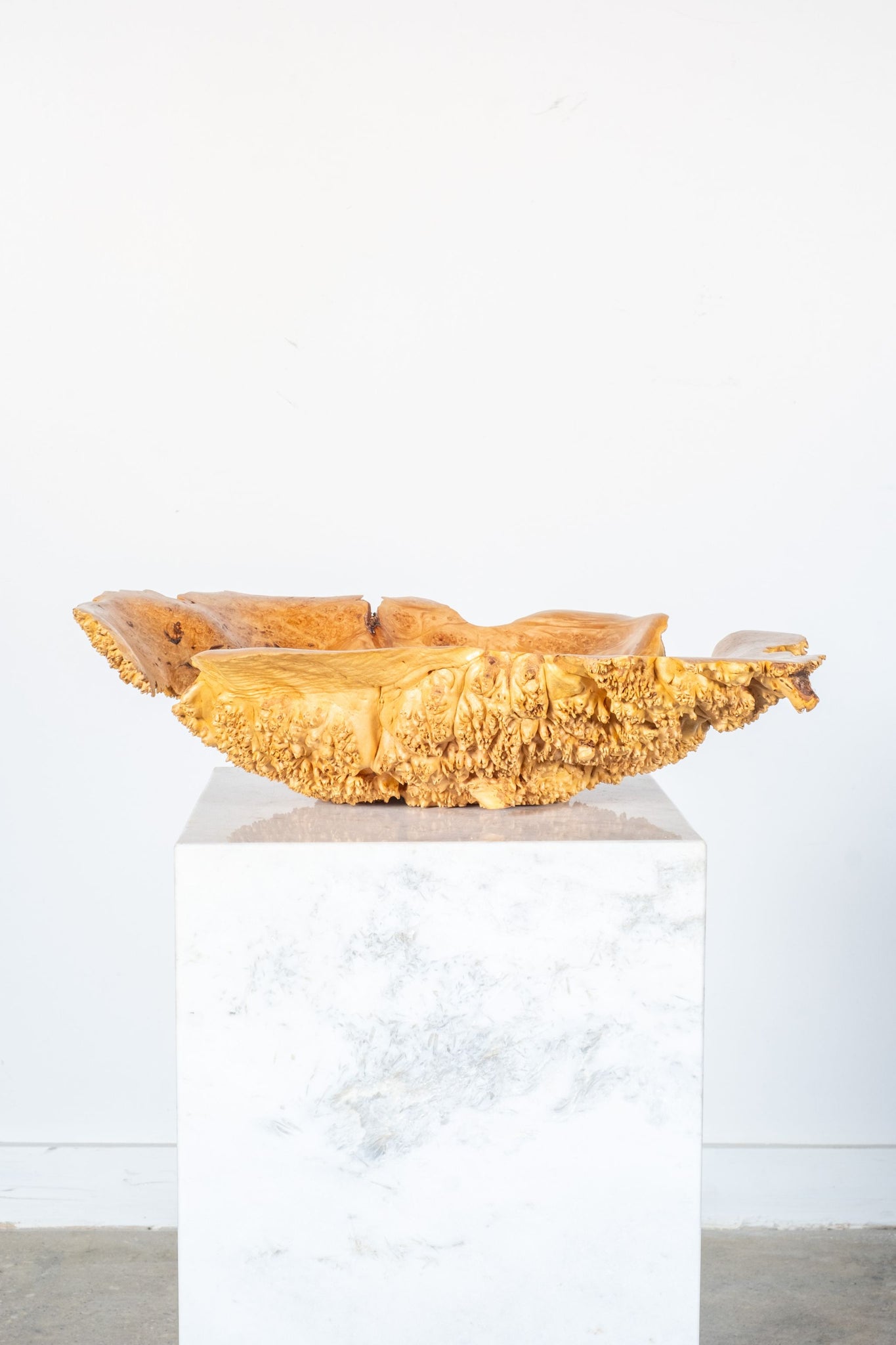 Burl Wood Spike Bowl | Bonne Choice