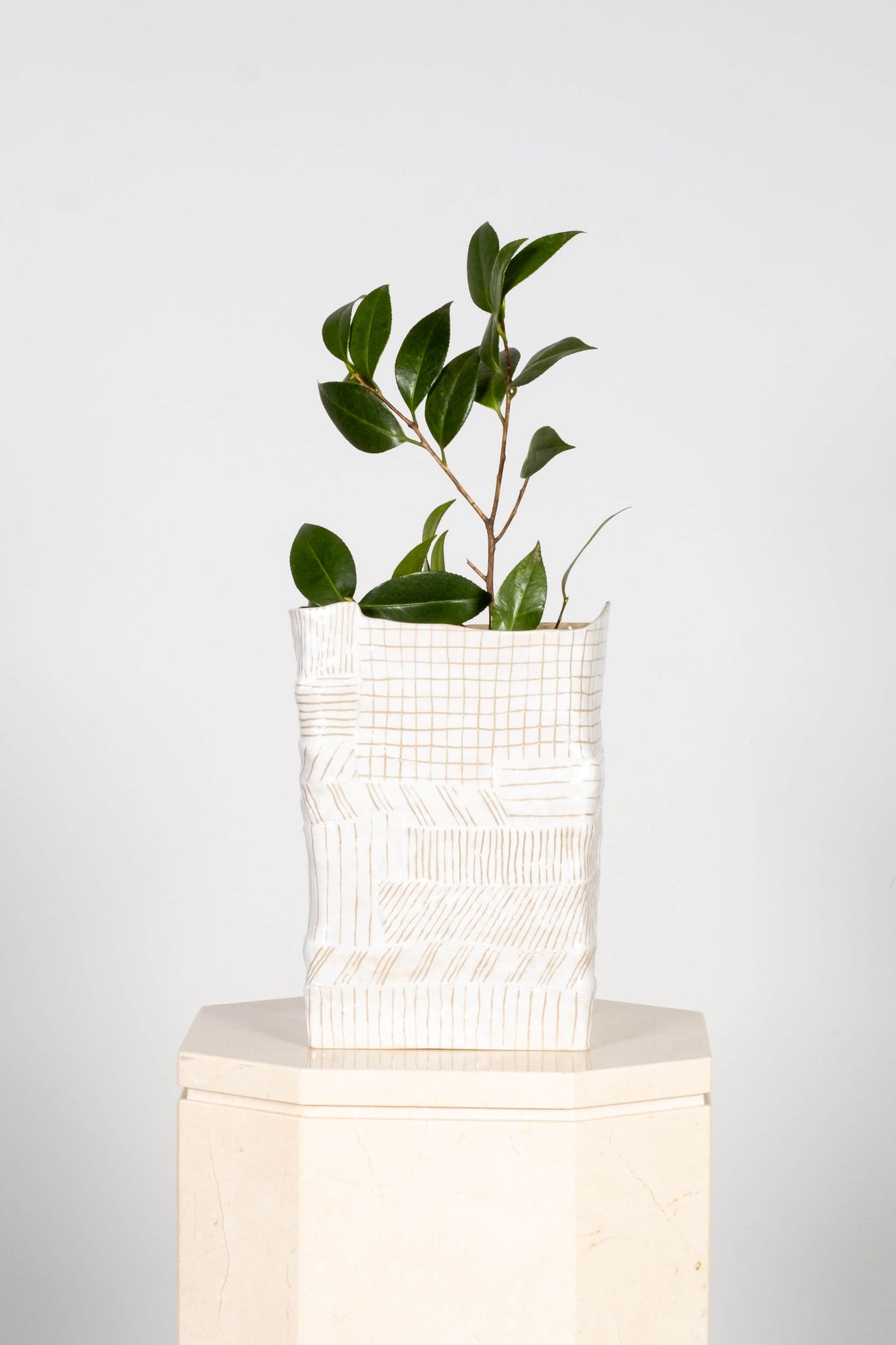 Vase Amélie - Large, Blanc Valérie Gutton, shown with a plant