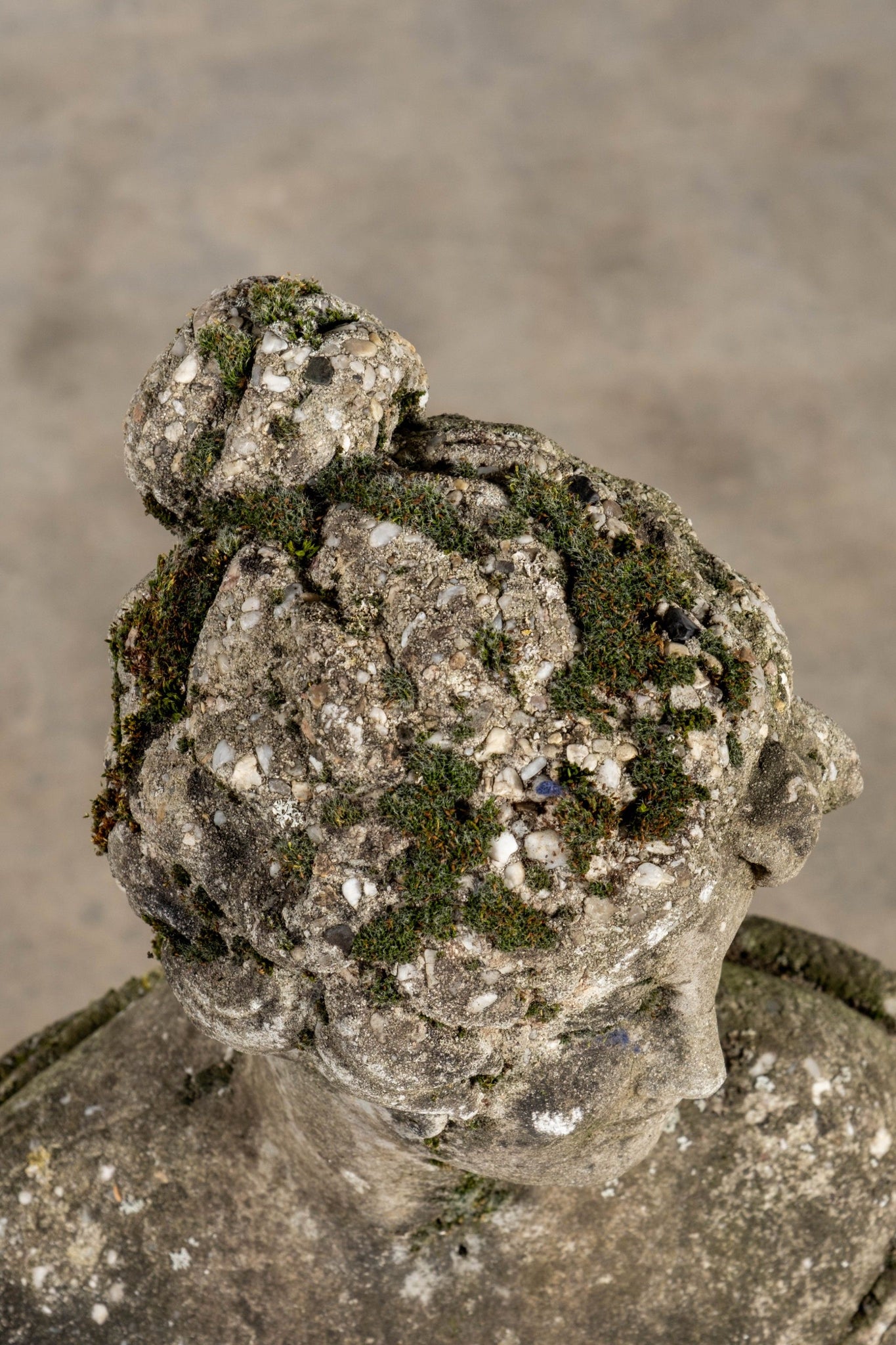 Concrete Bust + Pillar
