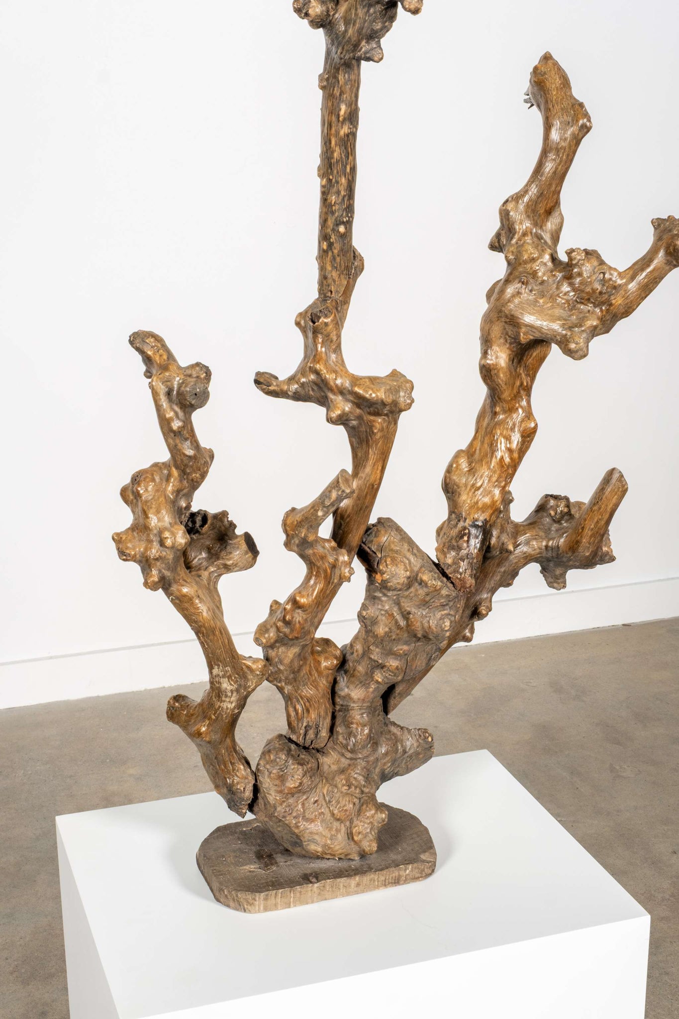 Gnarled Wood Sculpture
