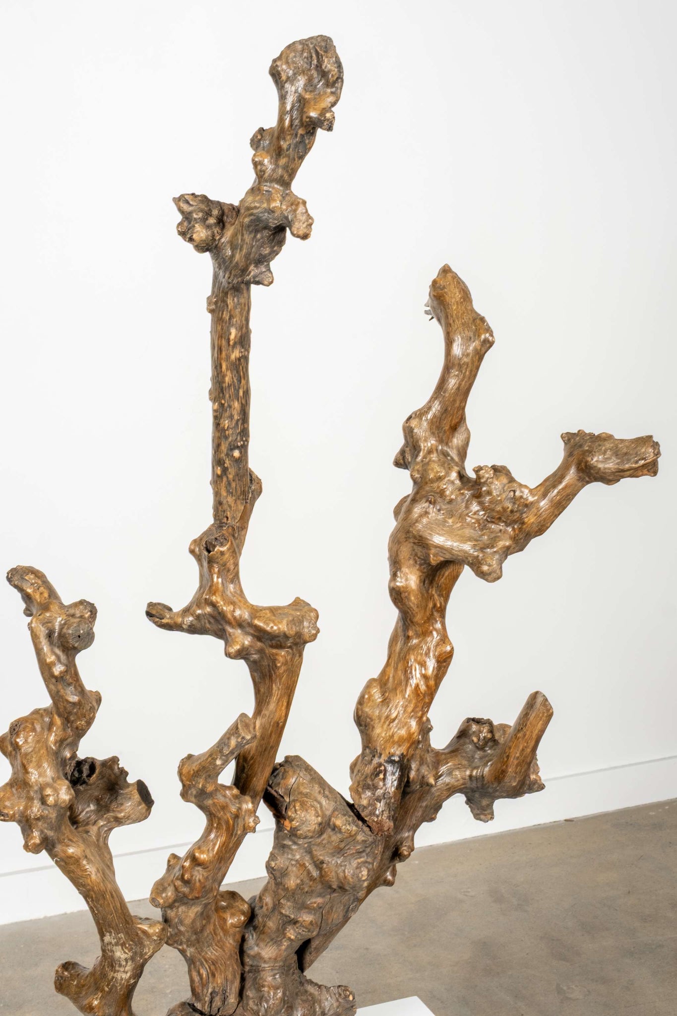 Gnarled Wood Sculpture