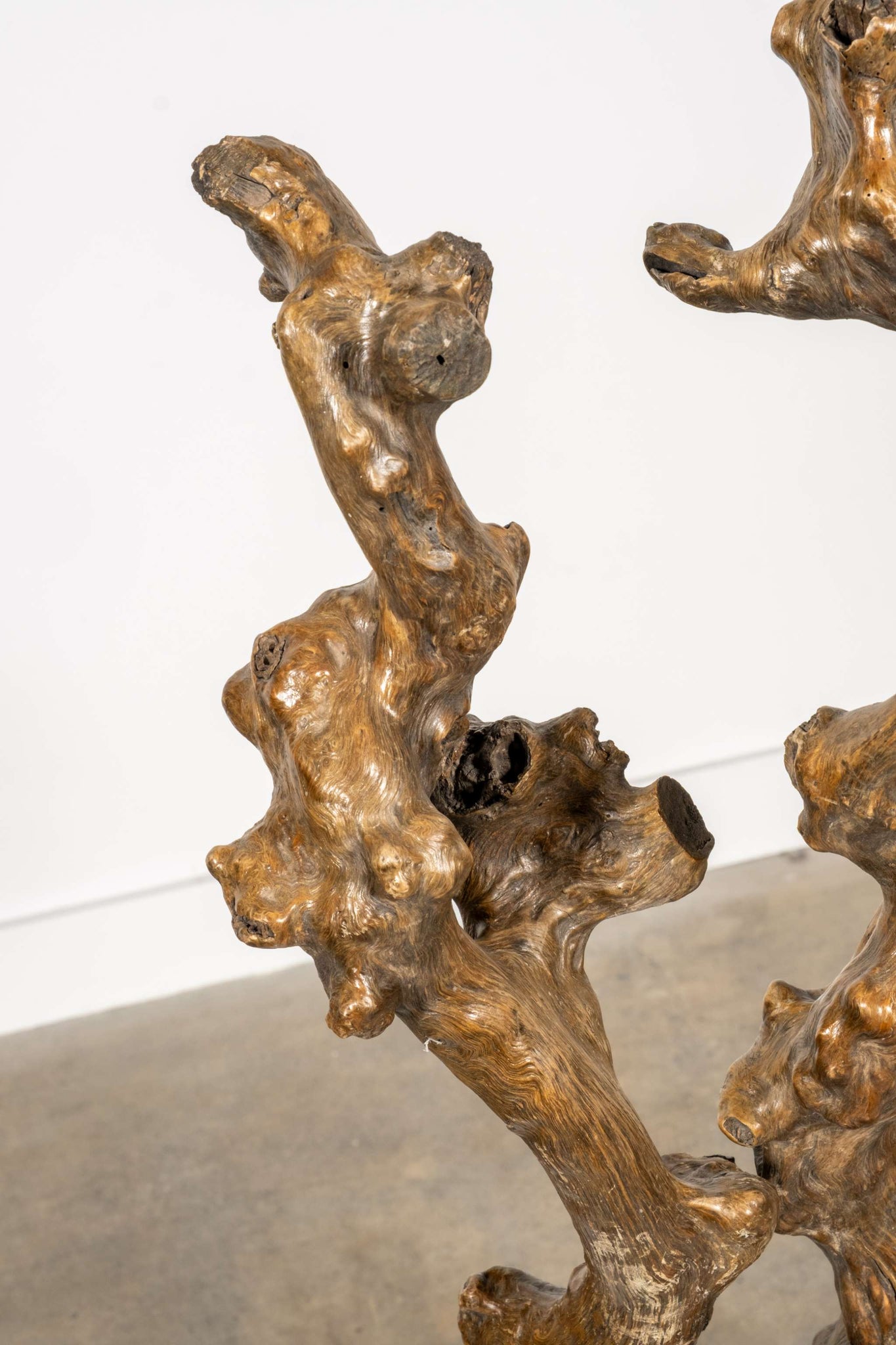 Gnarled Wood Sculpture