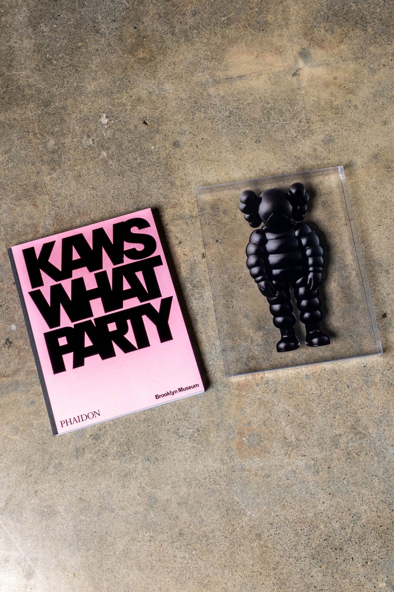 Kaws, What Party by Phaidon | Bonne Choice