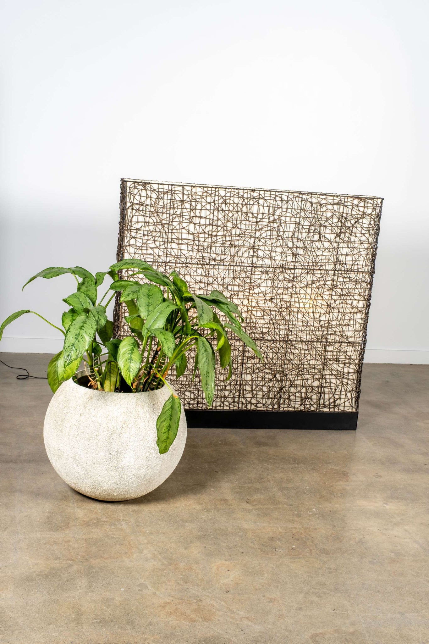 Rattan Floor Lamp,  Extra Wide