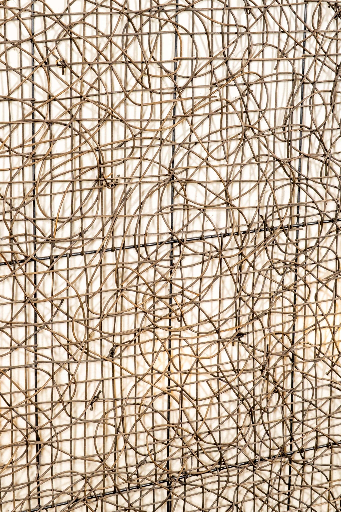 Rattan Floor Lamp,  Extra Wide