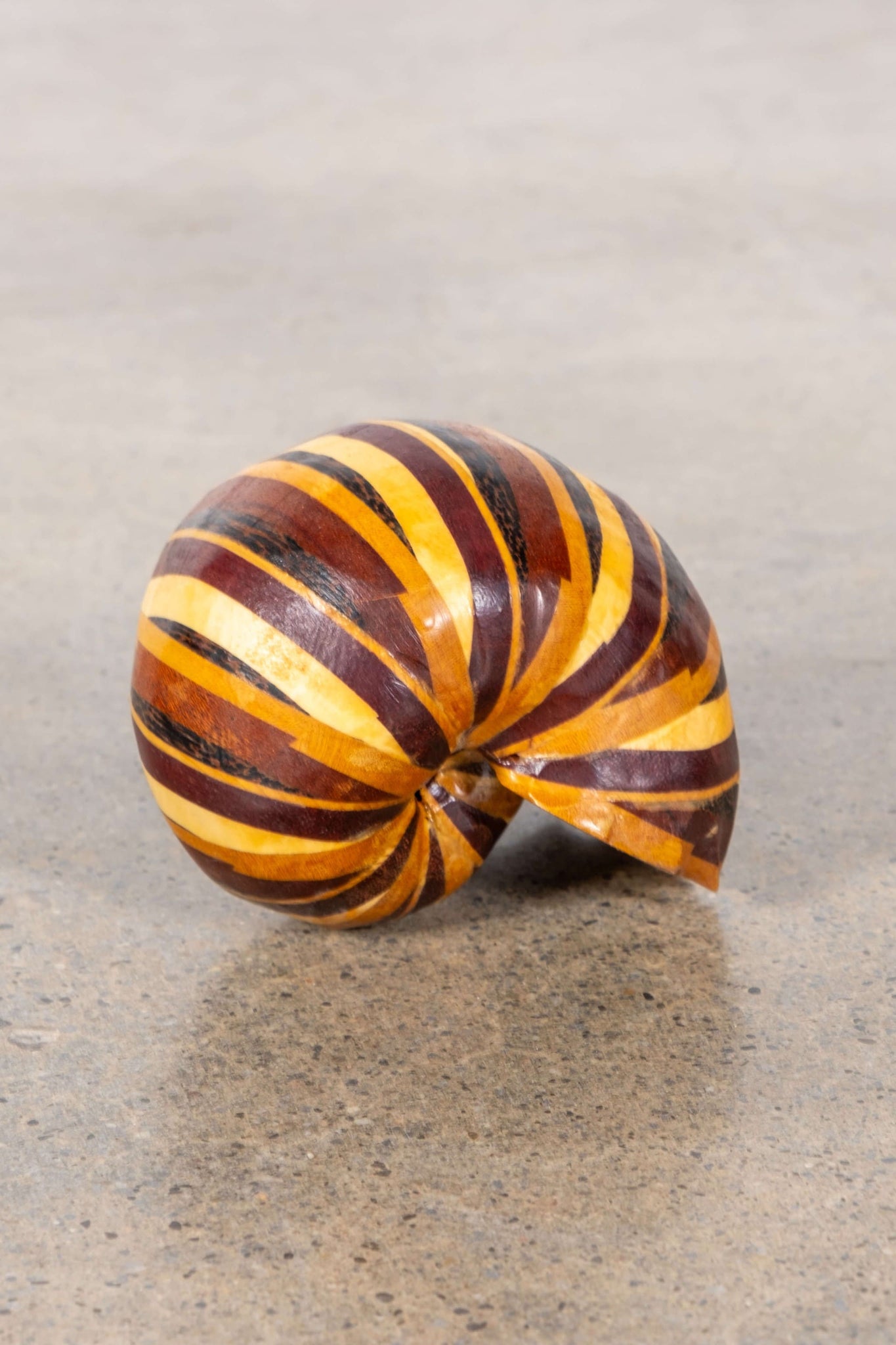 Wood Shell | Bonne Choice