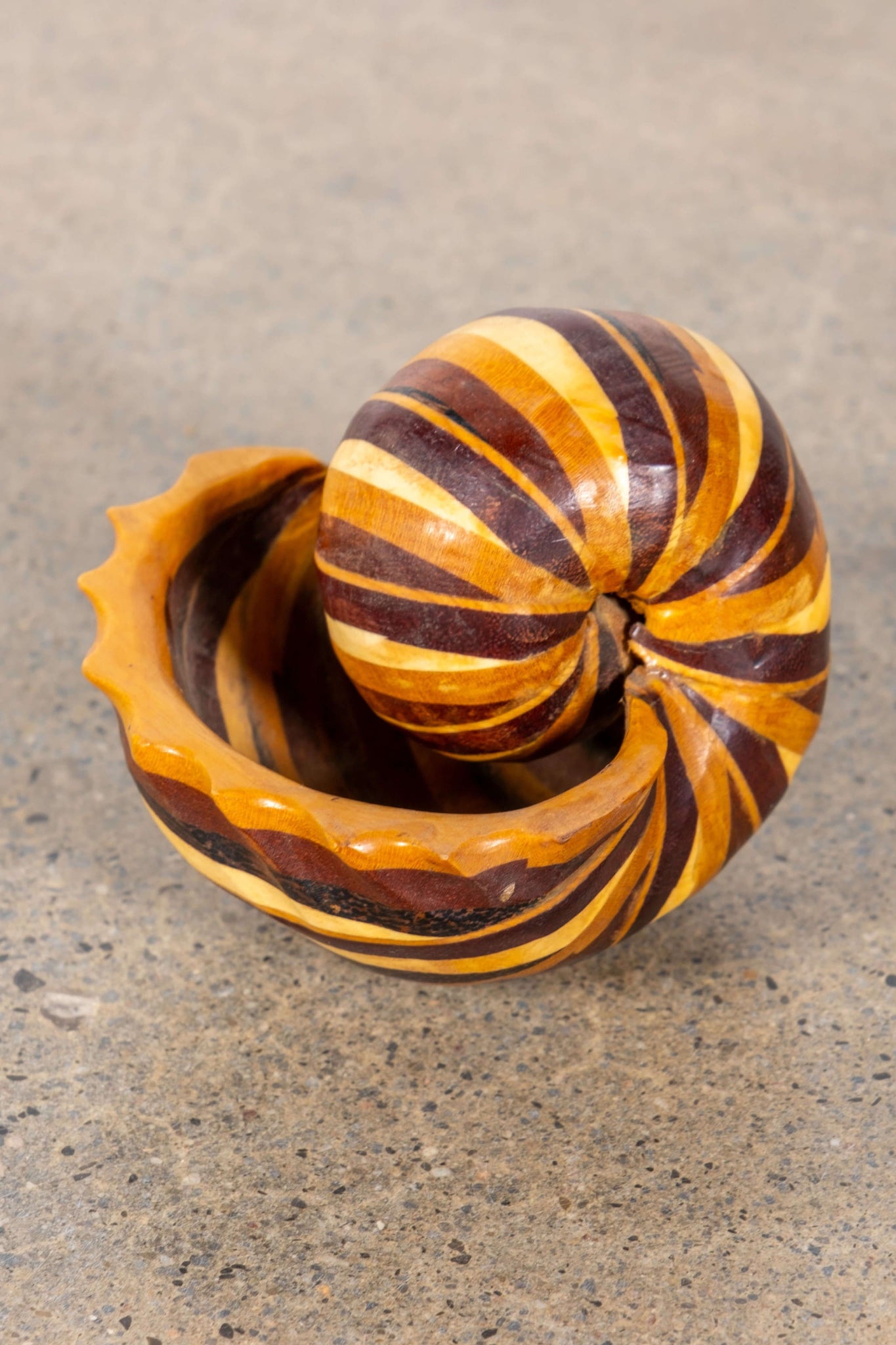 Wood Shell | Bonne Choice