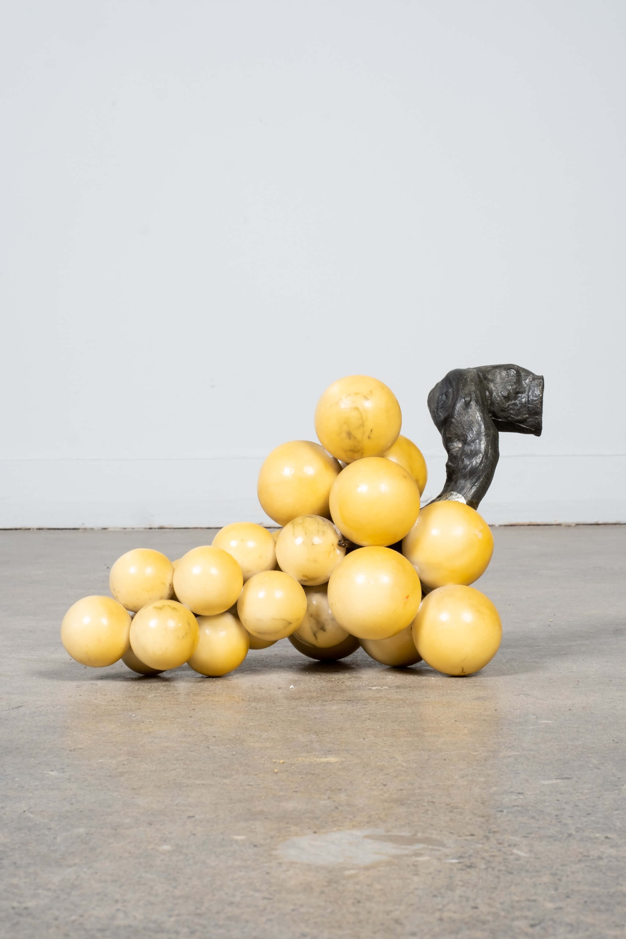 Marble Grapes, Yellow – Bonne Choice